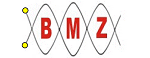 BMZ Marine Diesel Generators